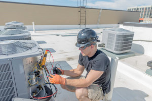 Apprenticeships at five year high