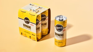 Fermenting experiments uncovers Tepache