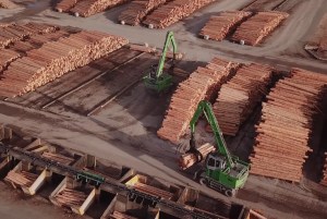 Hyne Group teams with UK timber processor
