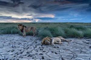 Magnum launches latest Square Print sale