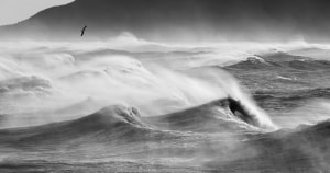 APS Behind the Lens: The wild Tasman