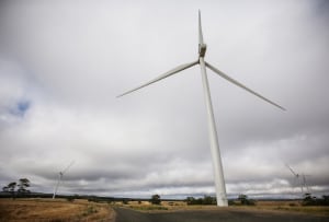 Coles secures path to renewable energy