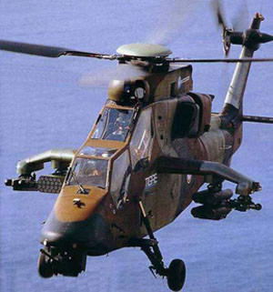 Tiger licensed to fly