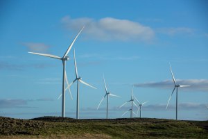 Aldi achieves 100 per cent renewables ahead of schedule
