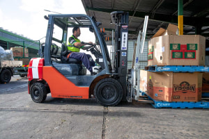 Toyota forklifts doing green work at Sydney Markets