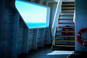 AP's free monthly photo comp June '26 'Home' - The winners!