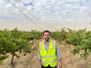 Treasury Wine&rsquo;s $1m investment to protect luxury grapes