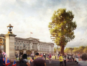 Tree of Trees celebrates 70 platinum years