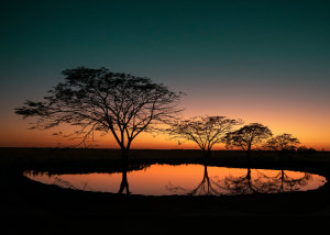 Queenslanders vote on their favourite campsite