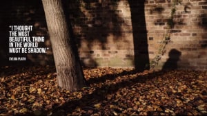 Video: Why you should embrace the shadows in your photography