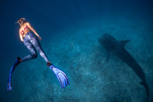 Sponsored: 5 useful tips for beautiful underwater photos