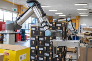 Painless palletising possible with cobot partners