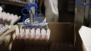 Three ways cobots can help companies achieve SDGs
