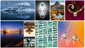 The winners! Free monthly photo comp January 2024