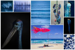September 'Blue' free monthly photo comp - the winners!
