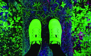 MTB Shoes: To clip or not to clip?