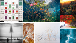 The Landscape Awards 2024 presented by SanDisk: The winners!