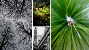 AP's free monthly photo comp August 2024: The winners!