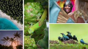 AP's free monthly photo comp May 2024: The winners!