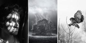 The Mono Awards 2024 presented by Synology - The People's choice winners!