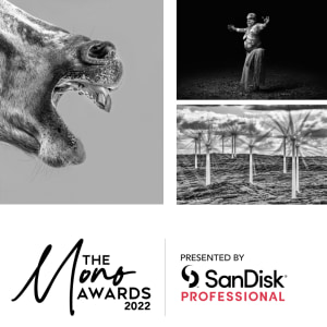 People's Choice winners revealed &ndash; The Mono Awards 2022