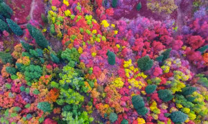 Spectacular drone footage of autumn in Utah