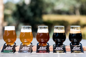Royal Adelaide announces beer, cider award winners