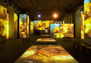 Van Gogh installation  