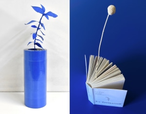 Submissions are now open! Make a vase for the world