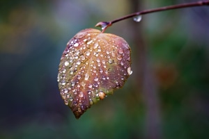 Your Best Shot August-September 2024: The winners!