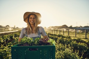 Viscount NZ hits 200 million box milestone