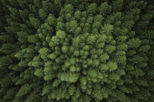 The practical guide to colour in landscape photography