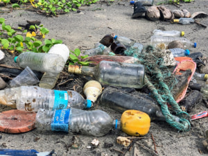 Melbourne training course to answer War on Waste questions