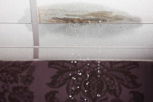 HVAC hygiene is at a crisis point in Australia