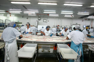 Sealord nets Infor for seven-year software deal 