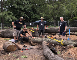 Honouring a fallen giant: The White Oak Project