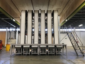 Kiwi chocolate colossus adds multi-pack system