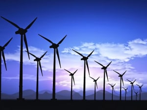 Digital marketplace for renewable energy launched 