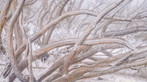 The chill factor: Tips for capturing Australia&rsquo;s alpine regions (Part two)