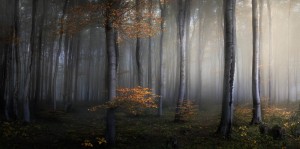 Deadline approaching for $50,000 Epson International Pano Awards