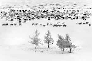 Creative photography tips to get your mind moving (Part one)