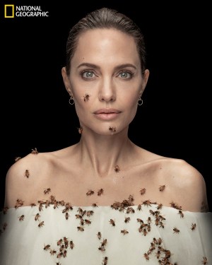Photographer Dan Winters shoots Angelina Jolie covered in bees