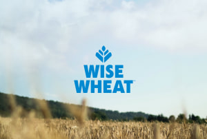Creative agency appointed for Allied Pinnacle&rsquo;s Wise Wheat