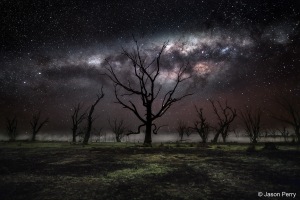 Winners' crowned in Australian Geographic Nature Photographer of the Year
