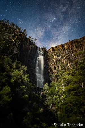Nature Photographer of the Year finalists revealed