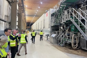Whakatane Mill invests $80m to boost board capacity