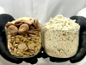 Wide Open Ag tech used to make other plant protein isolates