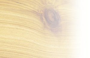The science: why wood moves