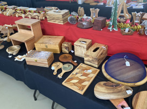 For kids and community: The Woodies at Maleny Expo 2024
