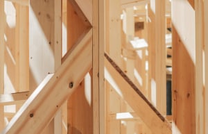 Count your carbon: database for builders in wood